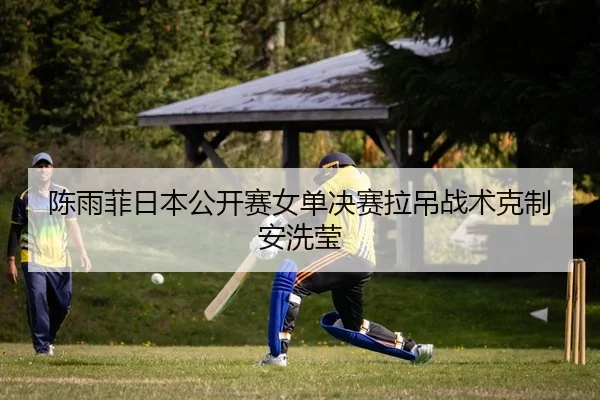 陈雨菲日本公开赛女单决赛拉吊战术克制安洗莹